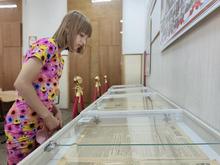 Девочка в разноцветном платье рассматривает документы в витрине музея. Рядом висят плакаты и стоят красные верёвочные ограждения.